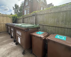 Brown Recycling